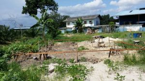 After a few weeks...