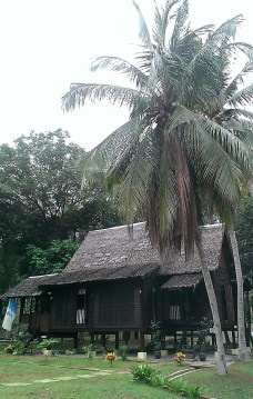 Malay house under coconut trees