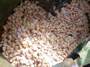 Fermenting Soybean
