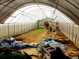 Polytunnel