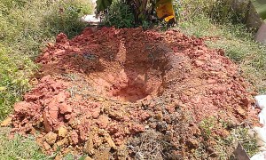 Digging Banana Circle
