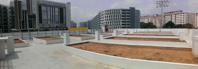 The barren rooftop when we first stepped onto it.