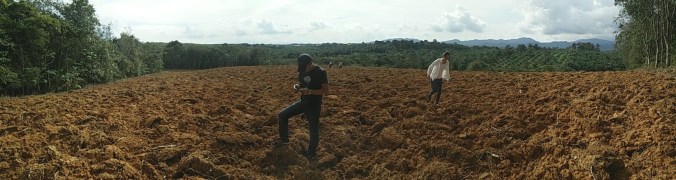 pano_20161103_160126